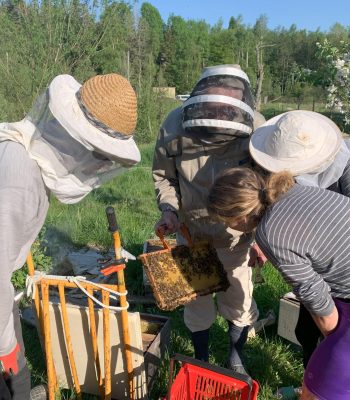 avno_ecovillage_swedish_culture